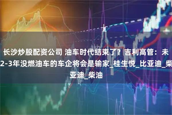 长沙炒股配资公司 油车时代结束了？吉利高管：未来2-3年没燃油车的车企将会是输家_桂生悦_比亚迪_柴油